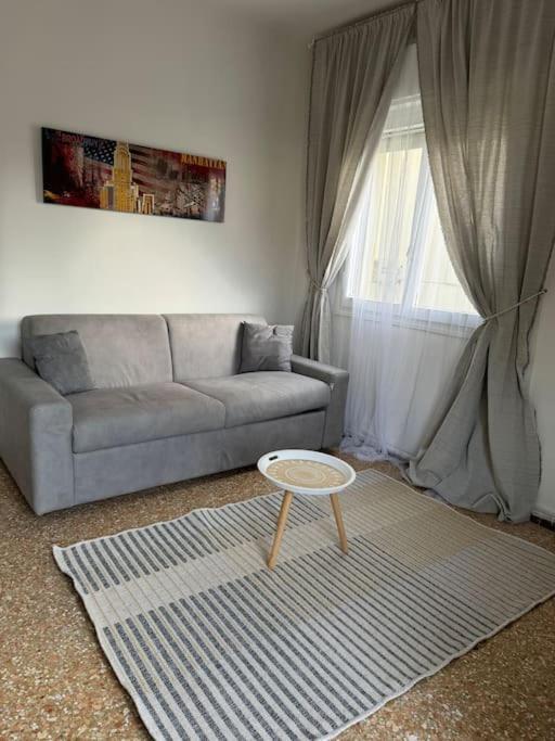 Grey Apartamento Venecia